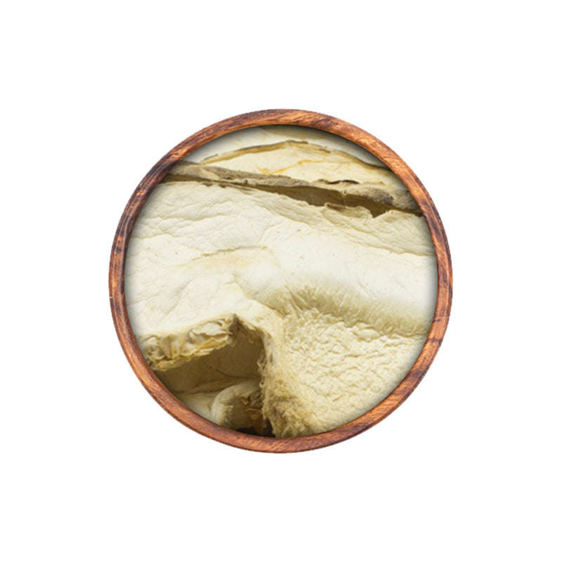 Shiitake Mushroom Herbal Tea - Whitsunday Myrtle