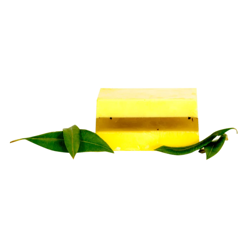 Citronella Myrtle Body Bar - Whitsunday Myrtle