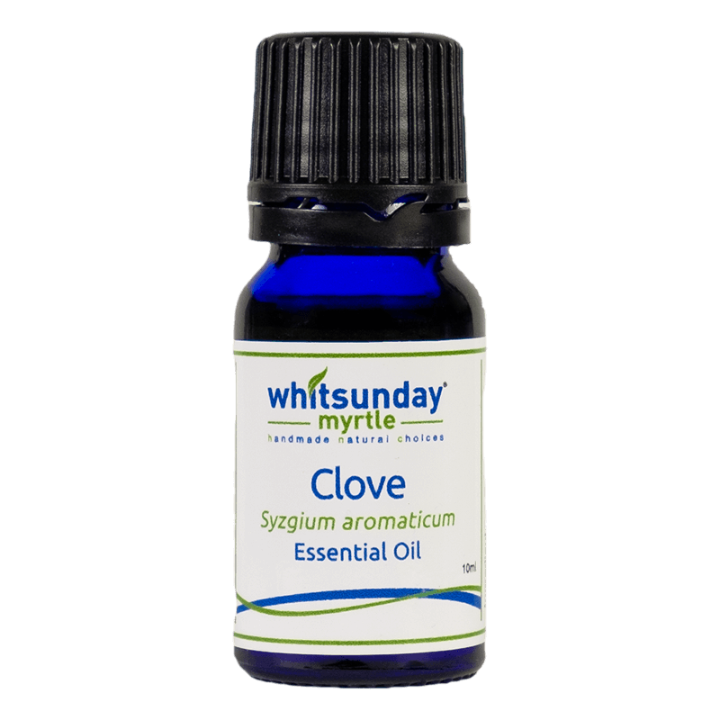 Clove Essential Oil - Whitsunday Myrtle