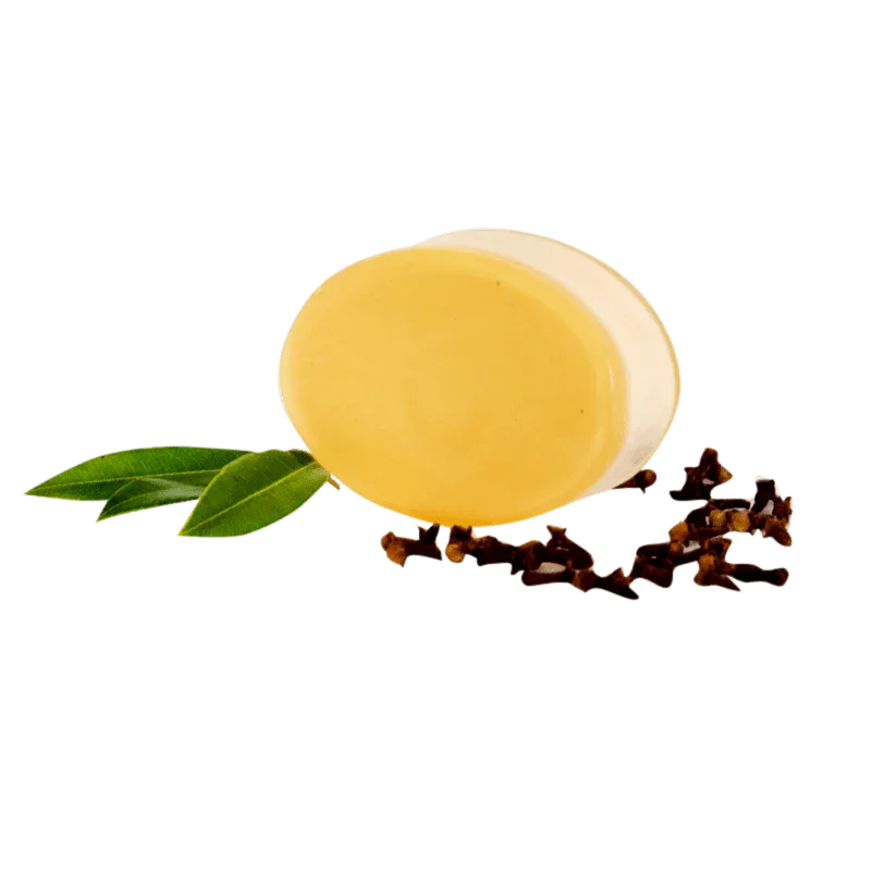 Clove Myrtle Body Bar | Clove Goats Milk Soap - Whitsunday Myrtle