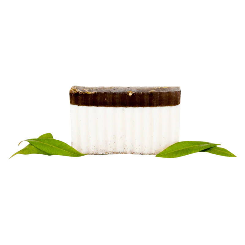 Fennel Myrtle Body Bar - Whitsunday Myrtle