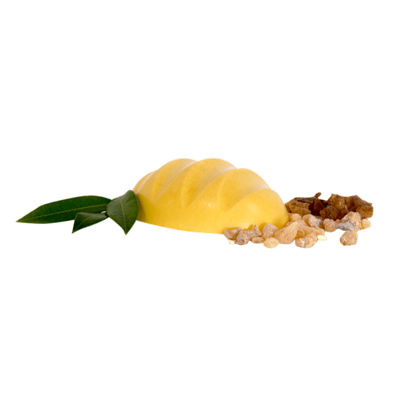 Healthy Head Myrtle Shampoo Bar - Whitsunday Myrtle