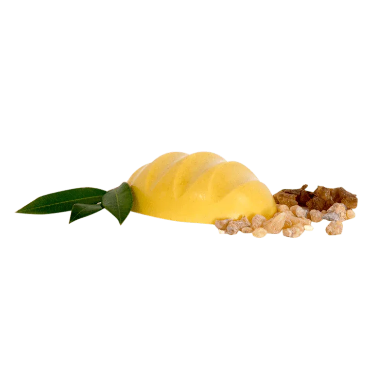 Healthy Head Myrtle Shampoo Bar - Whitsunday Myrtle