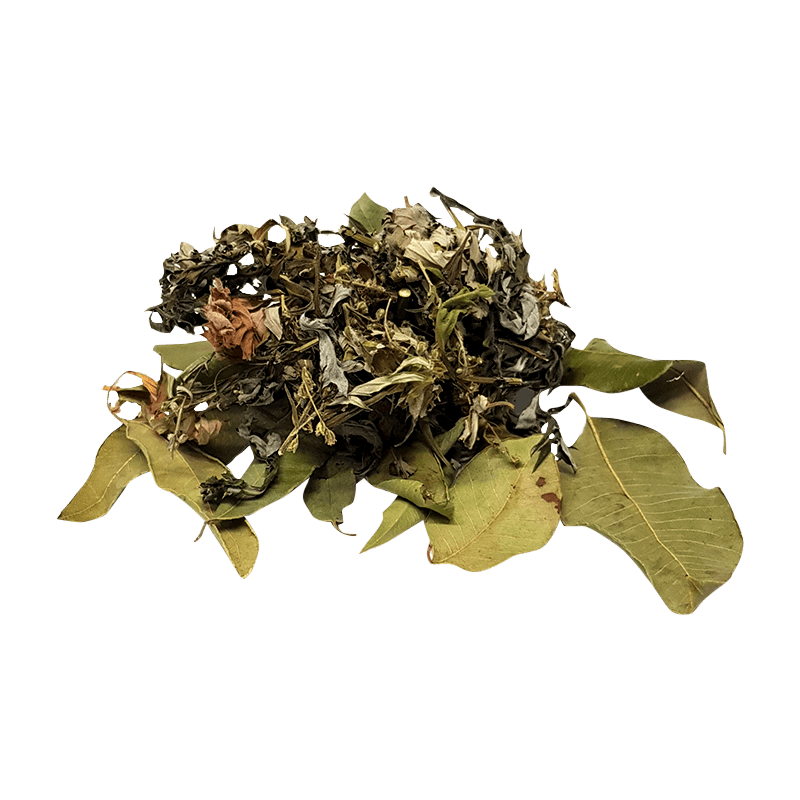 Mugwort and Lemon Myrtle Leaves