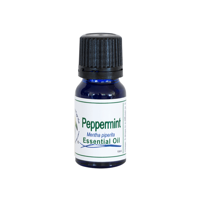 Peppermint Essential Oil - Whitsunday Myrtle