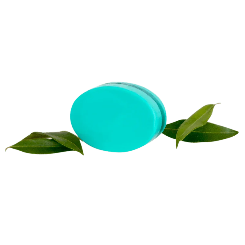 Spearmint Myrtle Body Bar - Whitsunday Myrtle