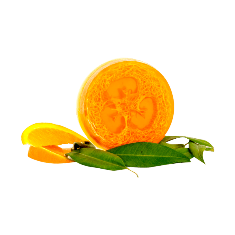Sweet Orange Myrtle Loofah Body Bar