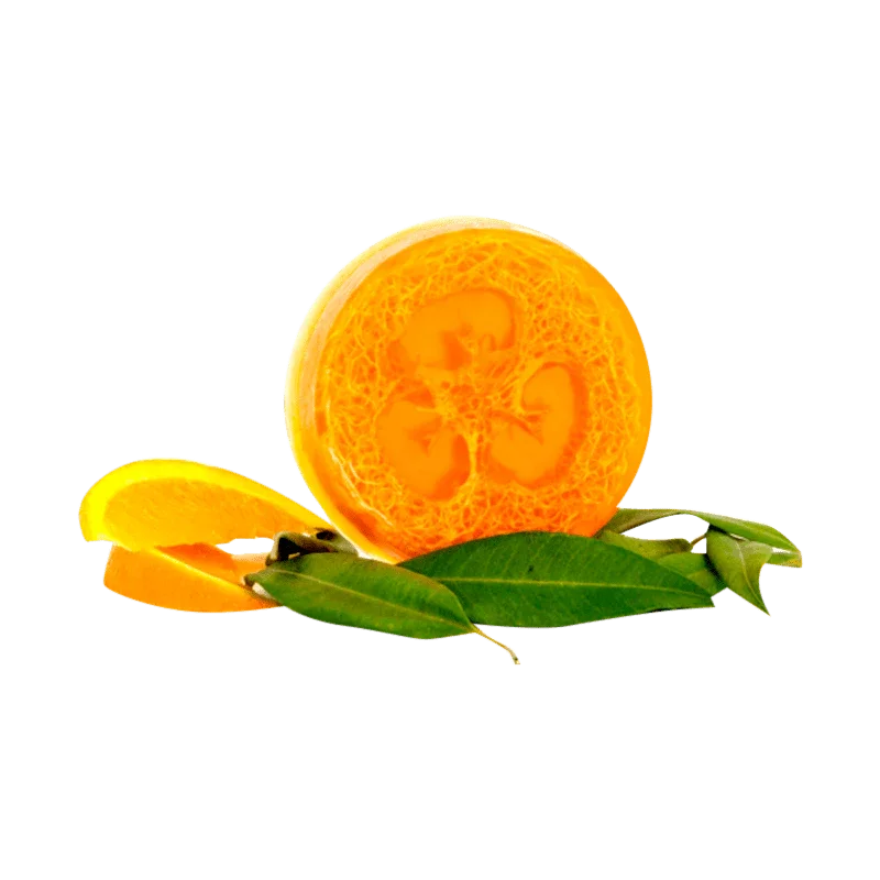Sweet Orange Myrtle Loofah Body Bar - Whitsunday Myrtle