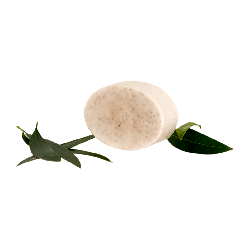 Tea Tree Myrtle Body Bar - Whitsunday Myrtle