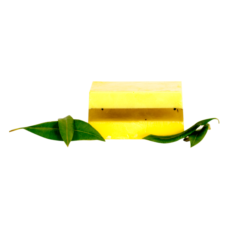 Mosquito Repellant Soap Bar (Citronella & Vegetable)