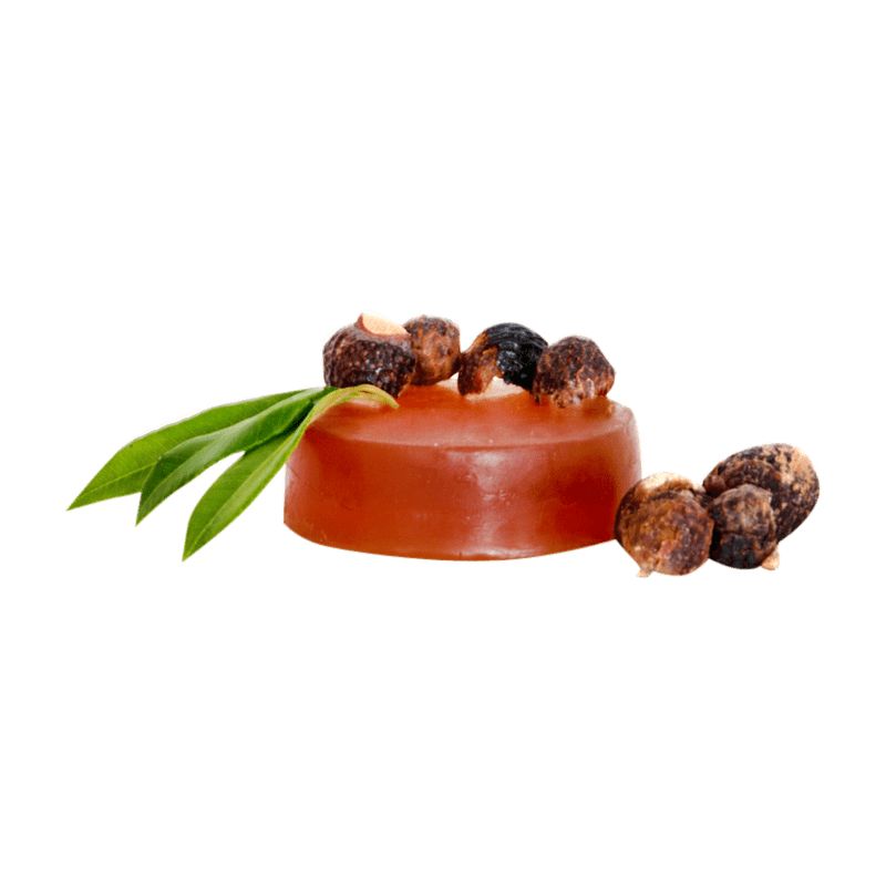 Natural Shampoo Bar
