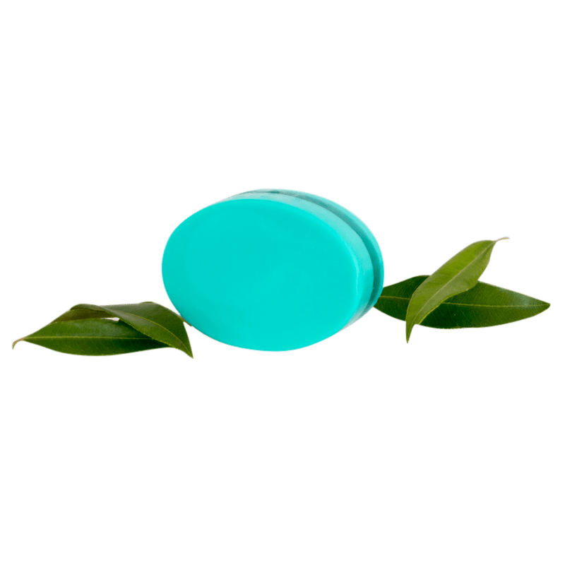 Spearmint Myrtle Body Bar